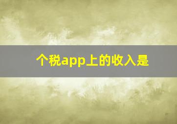 个税app上的收入是