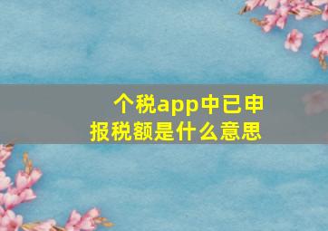 个税app中已申报税额是什么意思