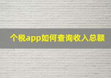 个税app如何查询收入总额