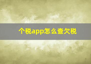 个税app怎么查欠税