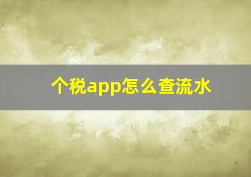 个税app怎么查流水