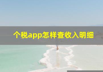 个税app怎样查收入明细