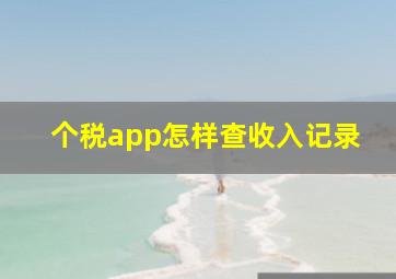 个税app怎样查收入记录