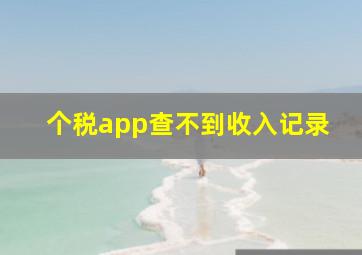 个税app查不到收入记录