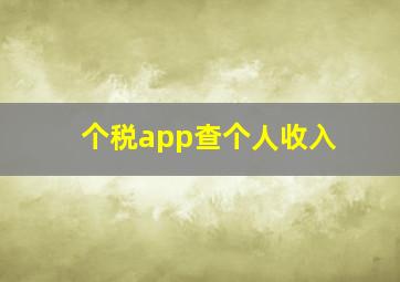 个税app查个人收入