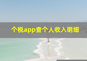 个税app查个人收入明细