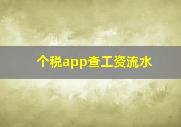 个税app查工资流水