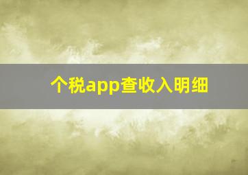 个税app查收入明细