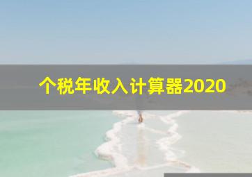 个税年收入计算器2020