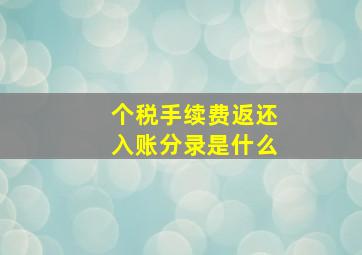 个税手续费返还入账分录是什么