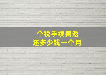 个税手续费返还多少钱一个月