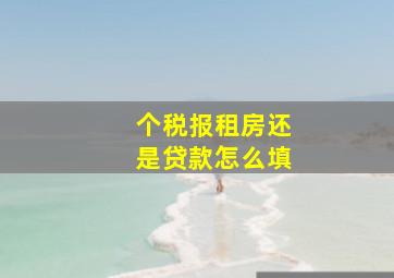 个税报租房还是贷款怎么填