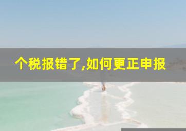 个税报错了,如何更正申报