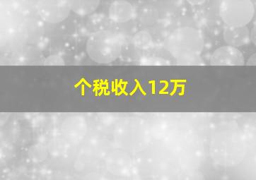 个税收入12万