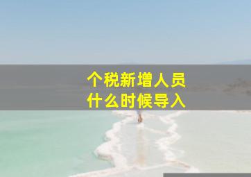 个税新增人员什么时候导入