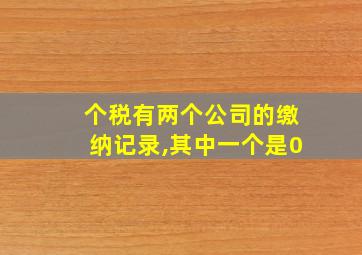 个税有两个公司的缴纳记录,其中一个是0