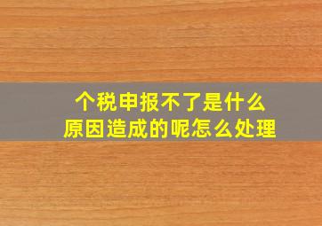 个税申报不了是什么原因造成的呢怎么处理