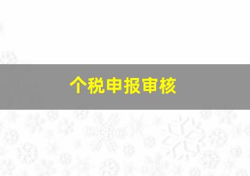 个税申报审核