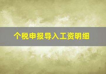 个税申报导入工资明细