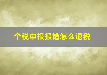 个税申报报错怎么退税