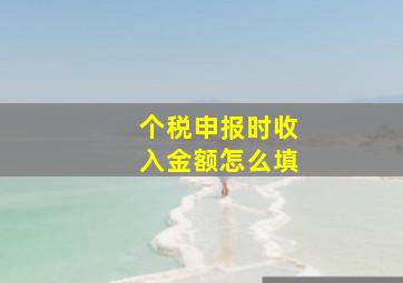 个税申报时收入金额怎么填