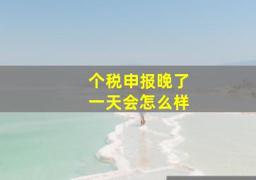 个税申报晚了一天会怎么样