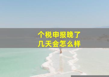 个税申报晚了几天会怎么样