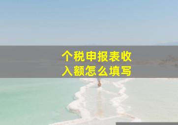 个税申报表收入额怎么填写