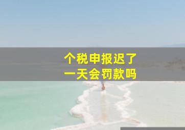 个税申报迟了一天会罚款吗