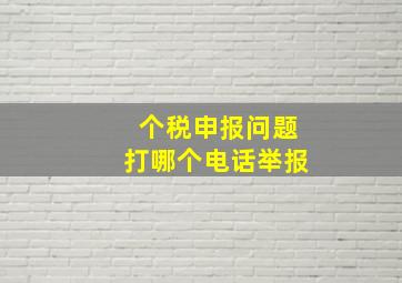 个税申报问题打哪个电话举报