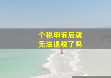 个税申诉后就无法退税了吗