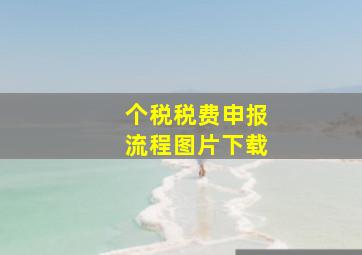 个税税费申报流程图片下载