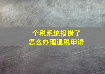 个税系统报错了怎么办理退税申请