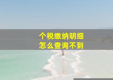 个税缴纳明细怎么查询不到