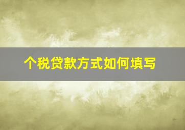 个税贷款方式如何填写