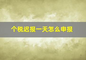 个税迟报一天怎么申报