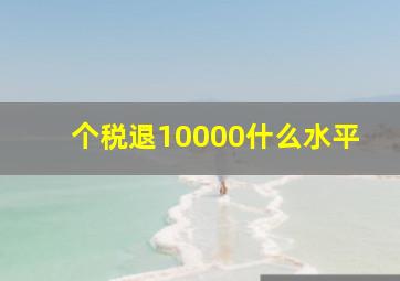 个税退10000什么水平