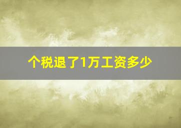 个税退了1万工资多少