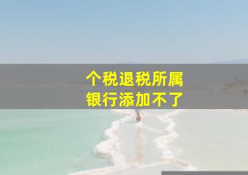 个税退税所属银行添加不了