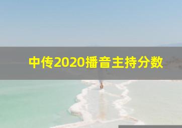 中传2020播音主持分数