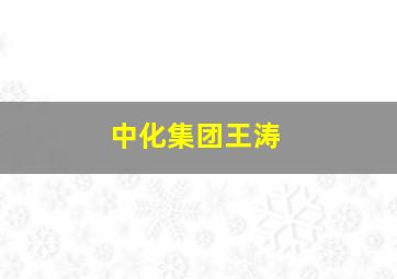 中化集团王涛