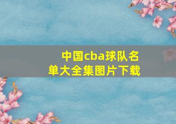 中国cba球队名单大全集图片下载