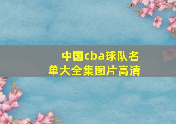 中国cba球队名单大全集图片高清