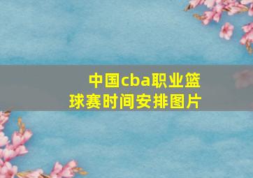 中国cba职业篮球赛时间安排图片