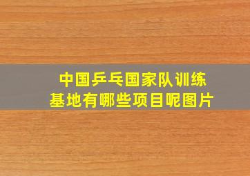 中国乒乓国家队训练基地有哪些项目呢图片