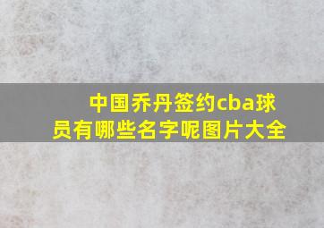 中国乔丹签约cba球员有哪些名字呢图片大全