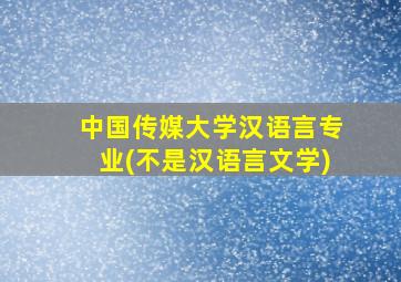 中国传媒大学汉语言专业(不是汉语言文学)