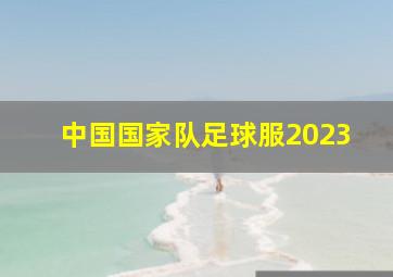 中国国家队足球服2023