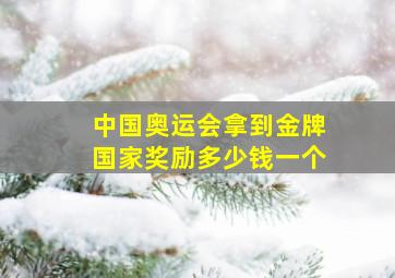 中国奥运会拿到金牌国家奖励多少钱一个