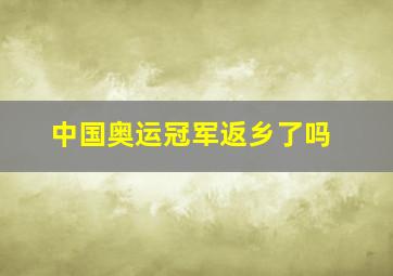 中国奥运冠军返乡了吗